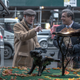 Photo: Sony Pictures Classics